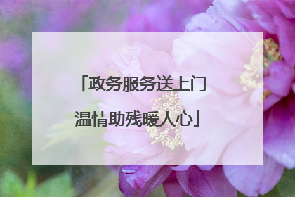 政务服务送上门 温情助残暖人心