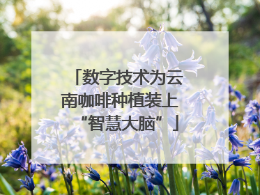 数字技术为云南咖啡种植装上“智慧大脑”