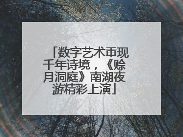 数字艺术重现千年诗境，《赊月洞庭》南湖夜游精彩上演
