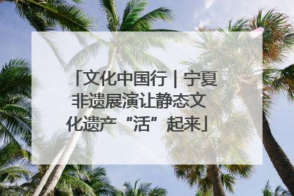 文化中国行｜宁夏 非遗展演让静态文化遗产“活”起来