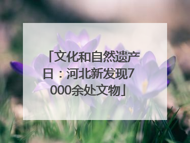 文化和自然遗产日：河北新发现7000余处文物