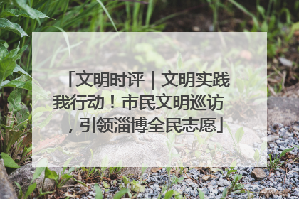 文明时评｜文明实践我行动！市民文明巡访，引领淄博全民志愿