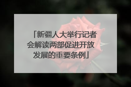 新疆人大举行记者会解读两部促进开放发展的重要条例