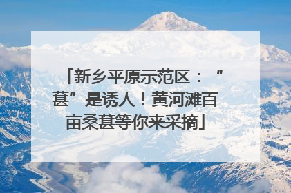 新乡平原示范区：“葚”是诱人！黄河滩百亩桑葚等你来采摘