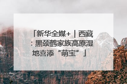 新华全媒+｜西藏：黑颈鹤家族高原湿地喜添“萌宝”