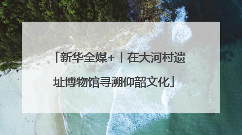 新华全媒+丨在大河村遗址博物馆寻溯仰韶文化