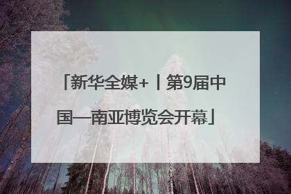 新华全媒+丨第9届中国—南亚博览会开幕