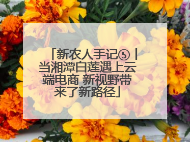 新农人手记⑤丨当湘潭白莲遇上云端电商 新视野带来了新路径