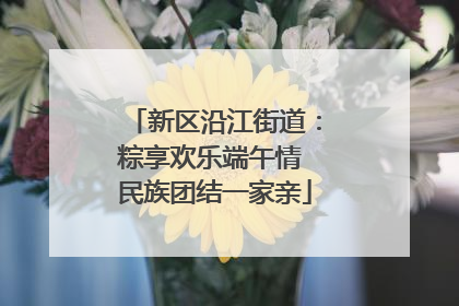 新区沿江街道：粽享欢乐端午情 民族团结一家亲