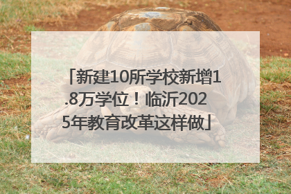 新建10所学校新增1.8万学位！临沂2025年教育改革这样做