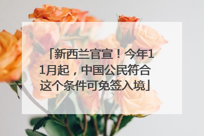 新西兰官宣！今年11月起，中国公民符合这个条件可免签入境