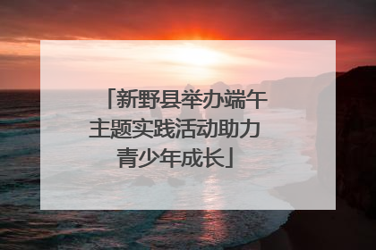 新野县举办端午主题实践活动助力青少年成长