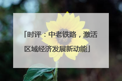 时评：中老铁路，激活区域经济发展新动能