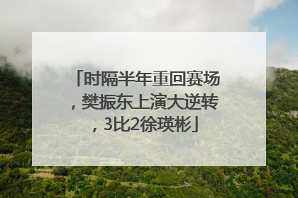时隔半年重回赛场，樊振东上演大逆转，3比2徐瑛彬