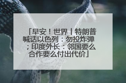 早安！世界丨特朗普喊话以色列：勿投炸弹；印度外长：邻国要么合作要么付出代价