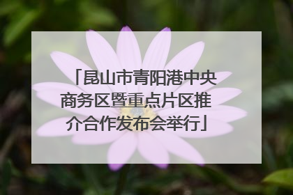 昆山市青阳港中央商务区暨重点片区推介合作发布会举行