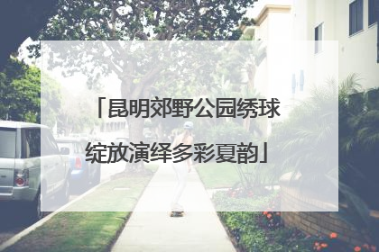 昆明郊野公园绣球绽放演绎多彩夏韵