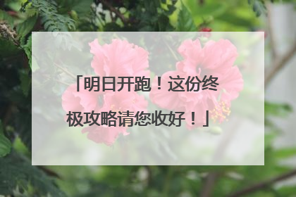 明日开跑！这份终极攻略请您收好！