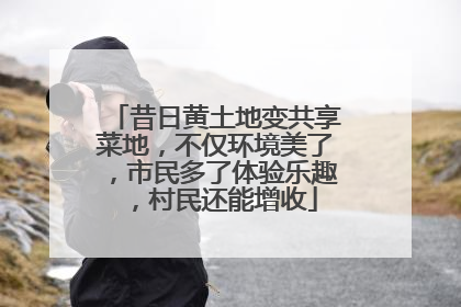 昔日黄土地变共享菜地，不仅环境美了，市民多了体验乐趣，村民还能增收
