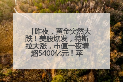 昨夜，黄金突然大跌！美股爆发，特斯拉大涨，市值一夜增超5400亿元！苹果传来大消息