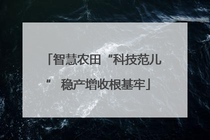 智慧农田“科技范儿” 稳产增收根基牢