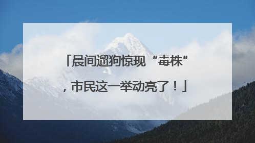 晨间遛狗惊现“毒株”，市民这一举动亮了！