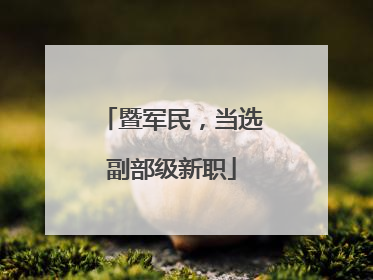 暨军民，当选副部级新职