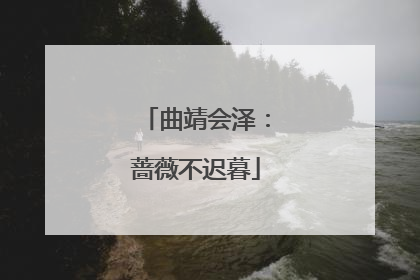 曲靖会泽：蔷薇不迟暮