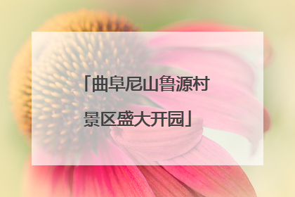 曲阜尼山鲁源村景区盛大开园