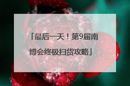 最后一天！第9届南博会终极扫货攻略