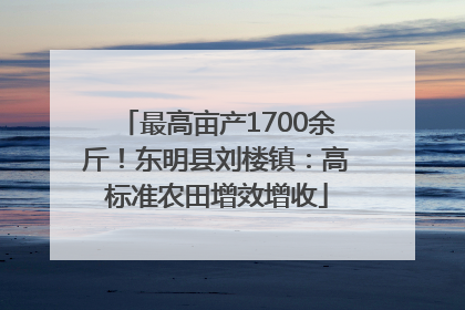 最高亩产1700余斤！东明县刘楼镇：高标准农田增效增收