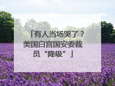 有人当场哭了？美国白宫国安委裁员“降级”