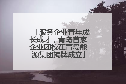 服务企业青年成长成才，青岛首家企业团校在青岛能源集团揭牌成立