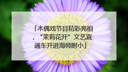 木偶戏节目精彩亮相，“茉莉花开”文艺直通车开进海师附小