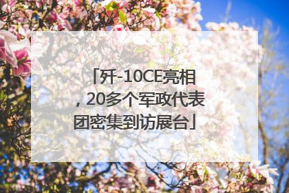 歼-10CE亮相，20多个军政代表团密集到访展台
