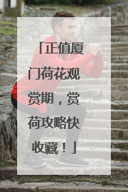 正值厦门荷花观赏期，赏荷攻略快收藏！