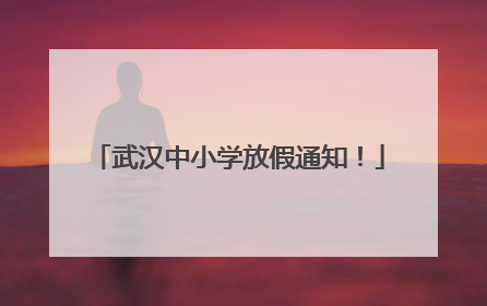 武汉中小学放假通知！
