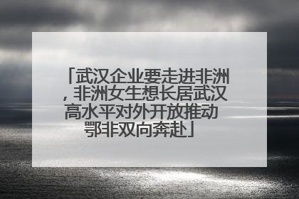 武汉企业要走进非洲，非洲女生想长居武汉 高水平对外开放推动鄂非双向奔赴