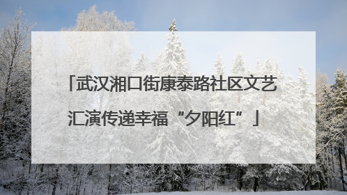 武汉湘口街康泰路社区文艺汇演传递幸福“夕阳红”