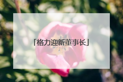 格力迎新董事长
