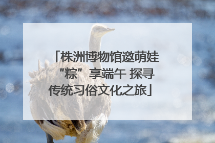株洲博物馆邀萌娃“粽”享端午 探寻传统习俗文化之旅