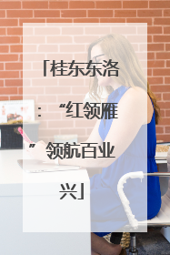 桂东东洛：“红领雁”领航百业兴