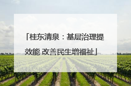 桂东清泉：基层治理提效能 改善民生增福祉