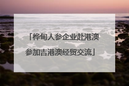 桦甸人参企业赴港澳参加吉港澳经贸交流