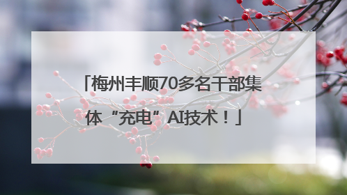 梅州丰顺70多名干部集体“充电”AI技术！