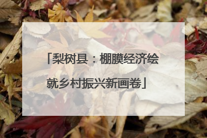 梨树县：棚膜经济绘就乡村振兴新画卷