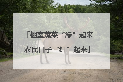 棚室蔬菜“绿”起来 农民日子“红”起来