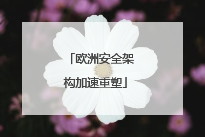 欧洲安全架构加速重塑