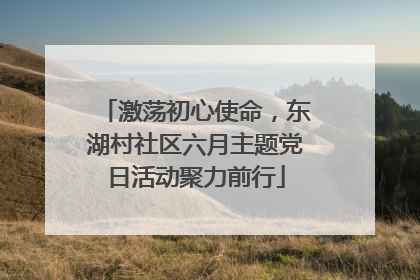激荡初心使命，东湖村社区六月主题党日活动聚力前行