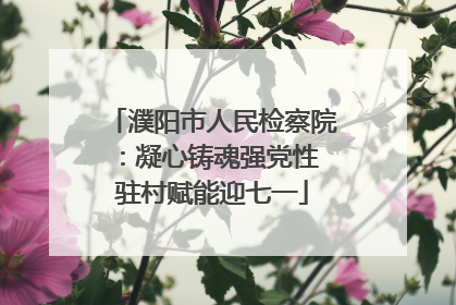 濮阳市人民检察院：凝心铸魂强党性 驻村赋能迎七一